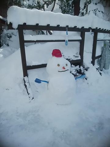 Inaka No Yado Sawa Hotel Nozawa Luaran gambar